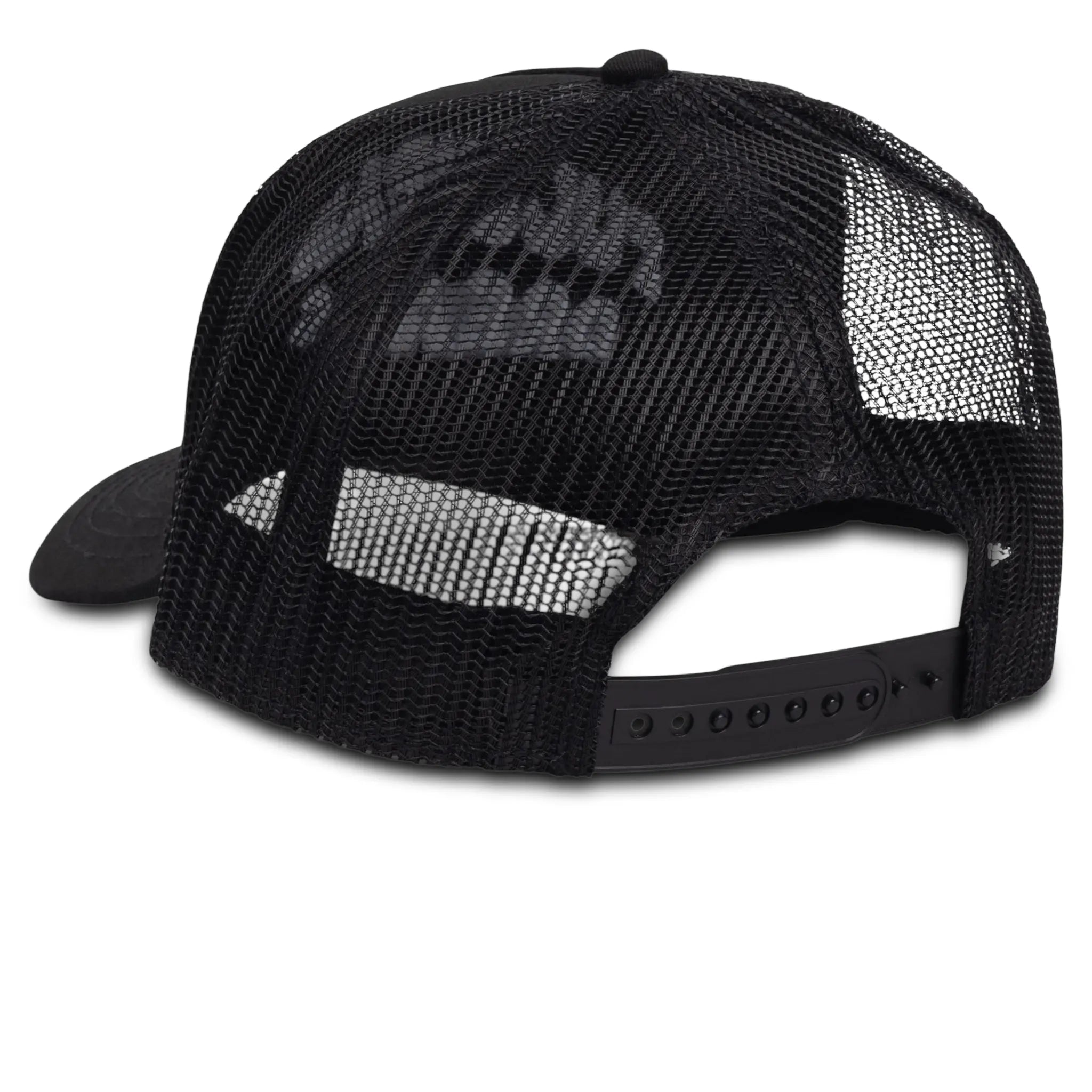 Back View of Fully Paid Dreams Black White Cap